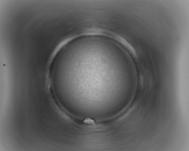 X0000113781368200909301141