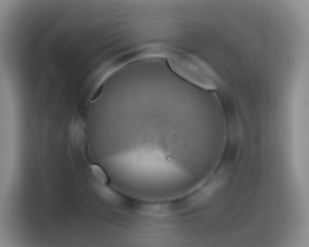 X0000113781369200909301141