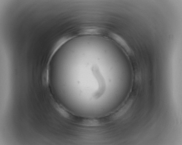 X0000113781370200909301141