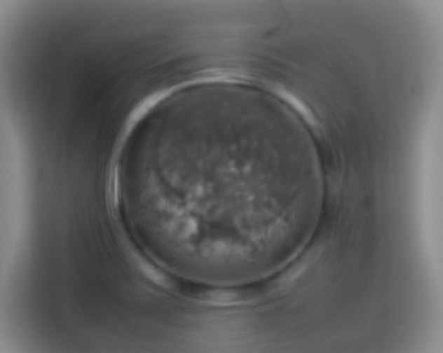 X0000113781371200909301141