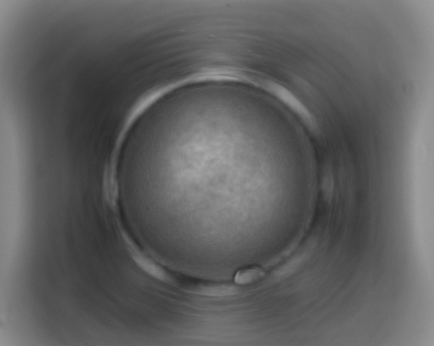 X0000113781372200909301141