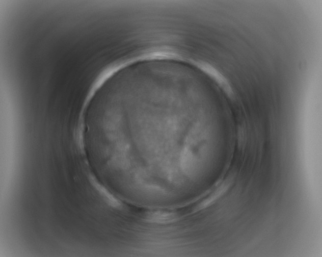 X0000113781374200909301141