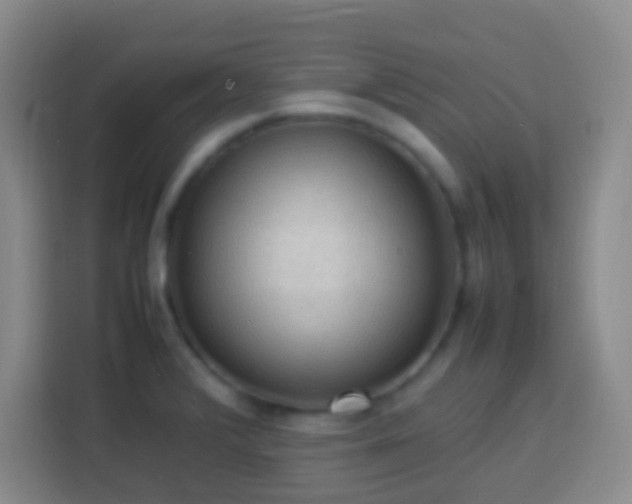 X0000113781376200909301141