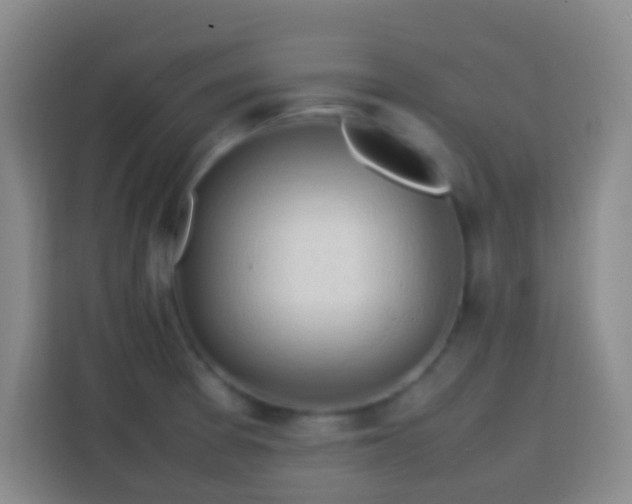 X0000113781377200909301141