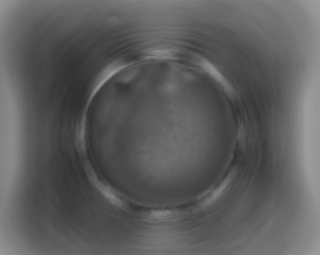 X0000113781378200909301141