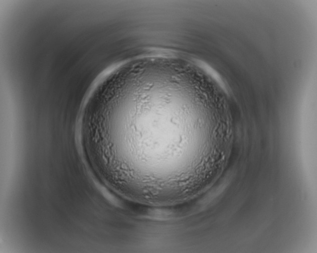 X0000113781379200909301141