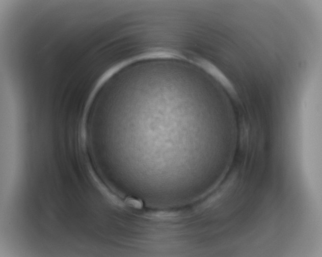 X0000113781380200909301141