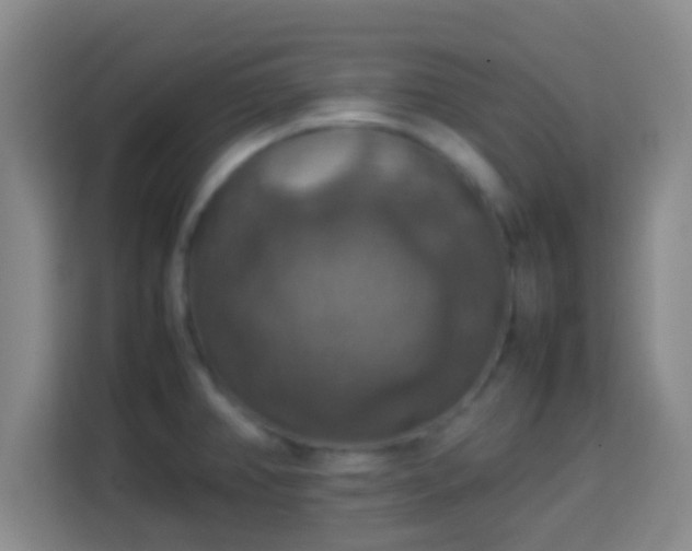 X0000113781382200909301141