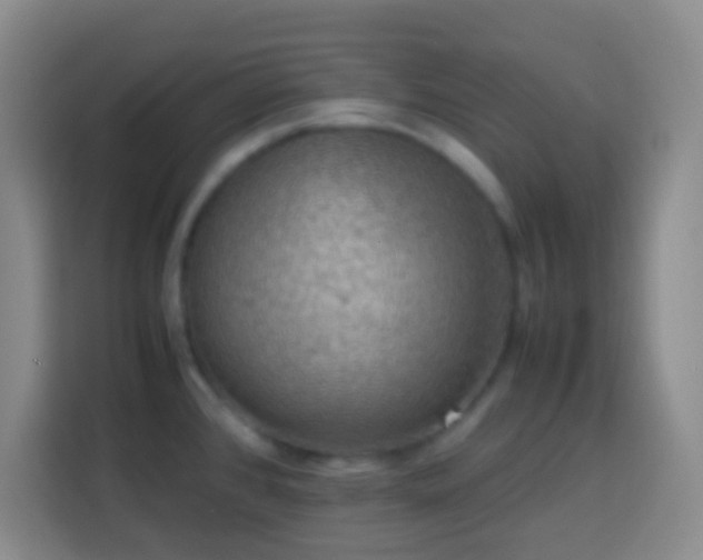 X0000113781384200909301141
