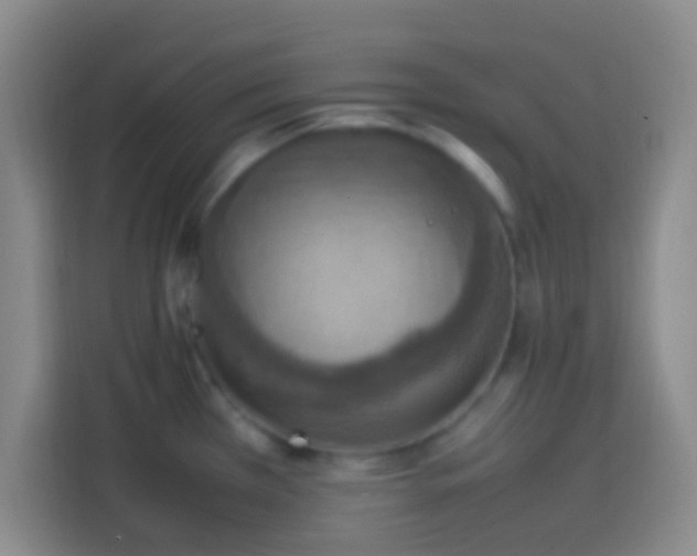 X0000113781385200909301141