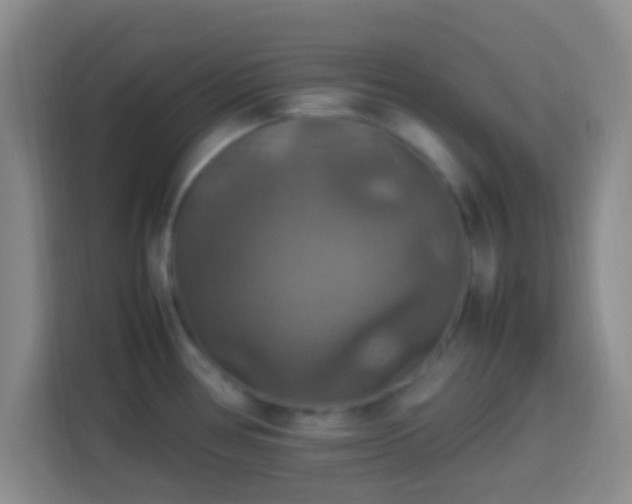 X0000113781386200909301141