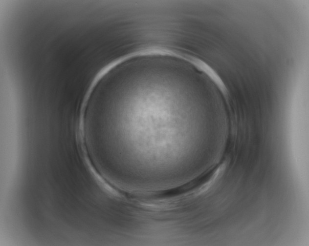 X0000113781388200909301141