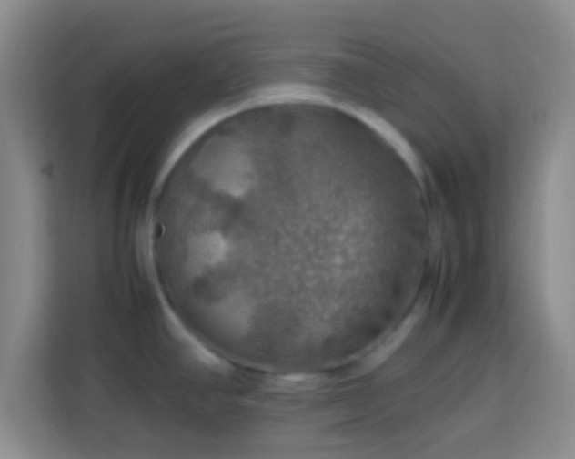 X0000113781390200909301141