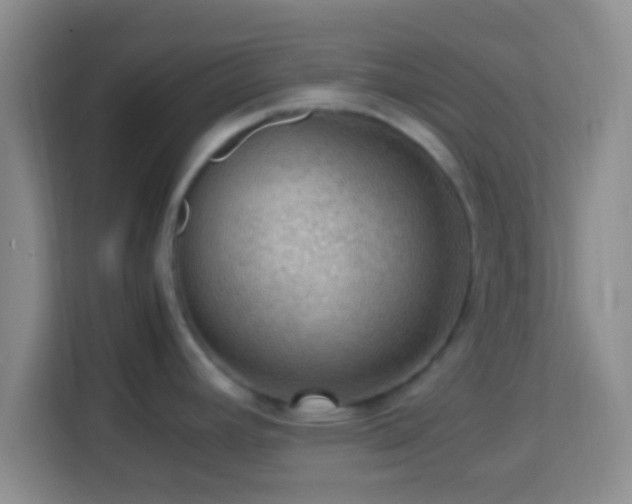 X0000113781392200909301140