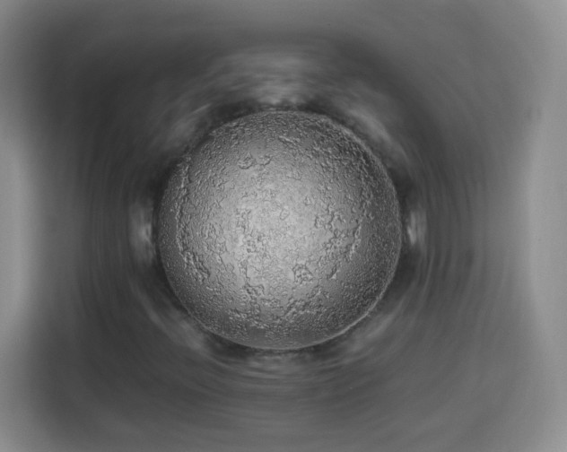 X0000113781396200909301140