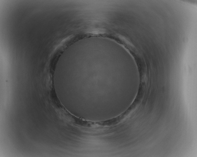 X0000113781398200909301140