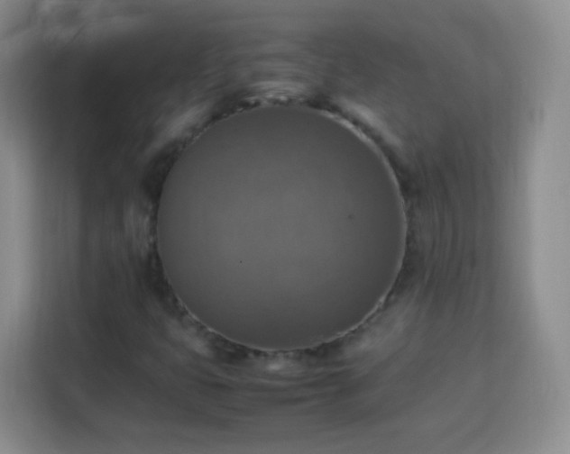 X0000113781399200909301140