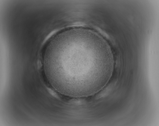 X0000113781400200909301140