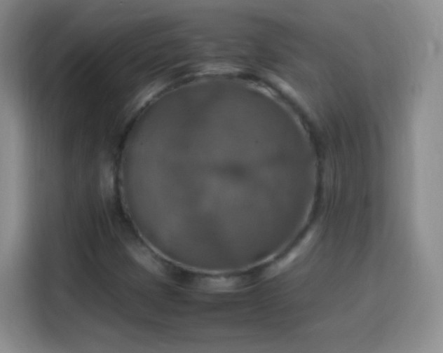 X0000113781401200909301140