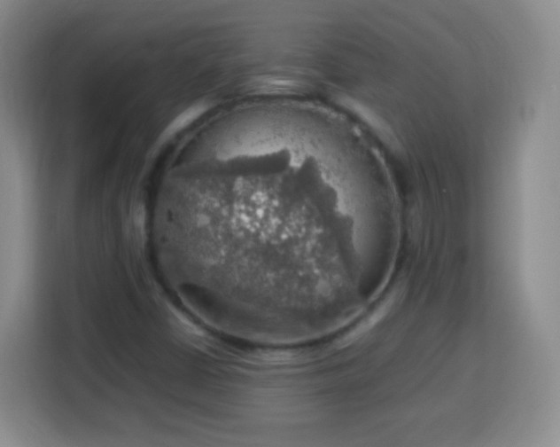 X0000113781402200909301140