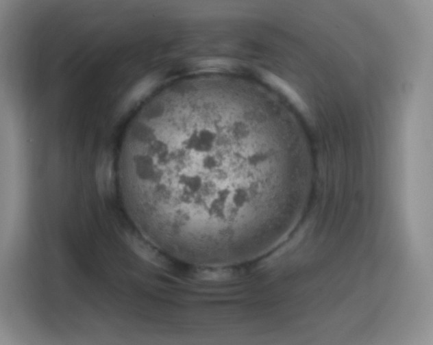 X0000113781403200909301140