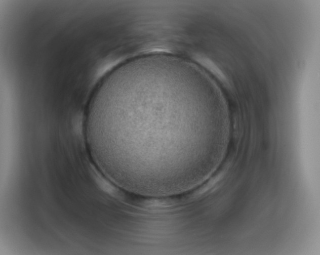 X0000113781404200909301140