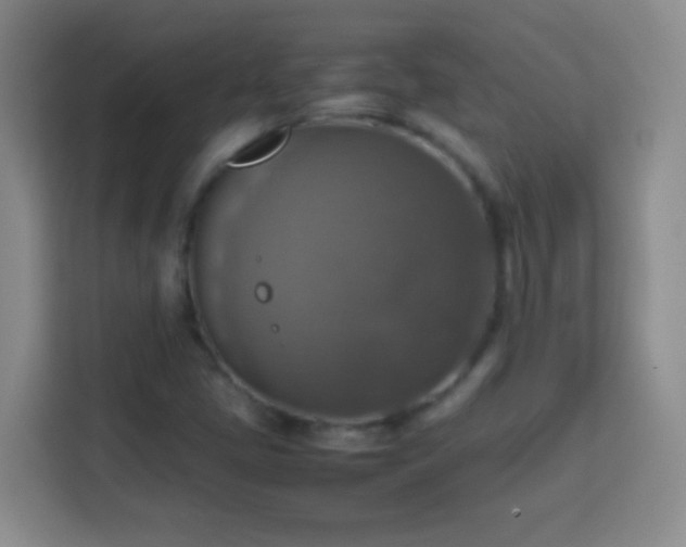 X0000113781405200909301140