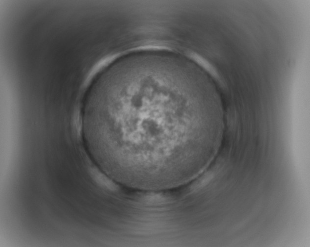 X0000113781408200909301140