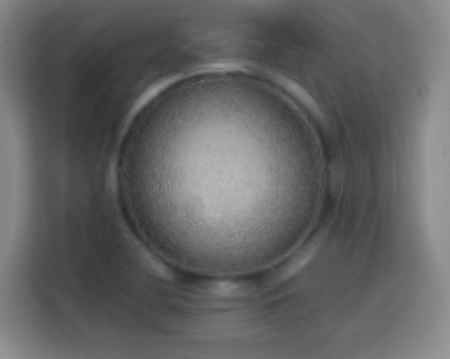 X0000113781412200909301140