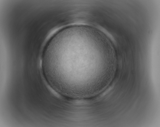 X0000113781416200909301140