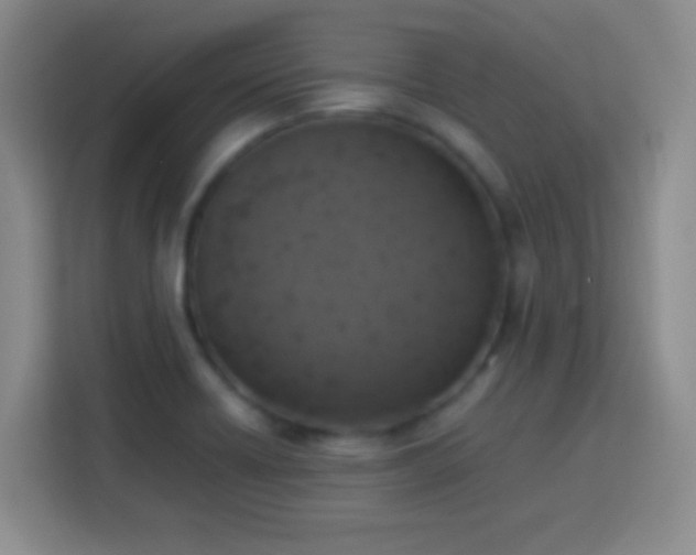 X0000113781418200909301140