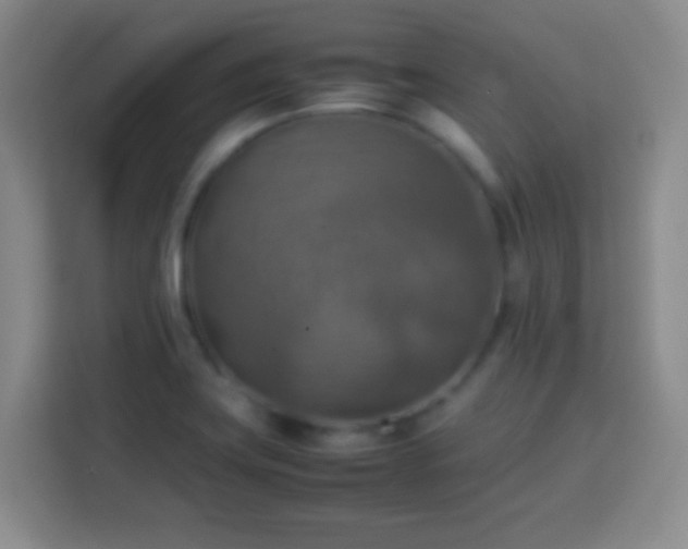 X0000113781419200909301140