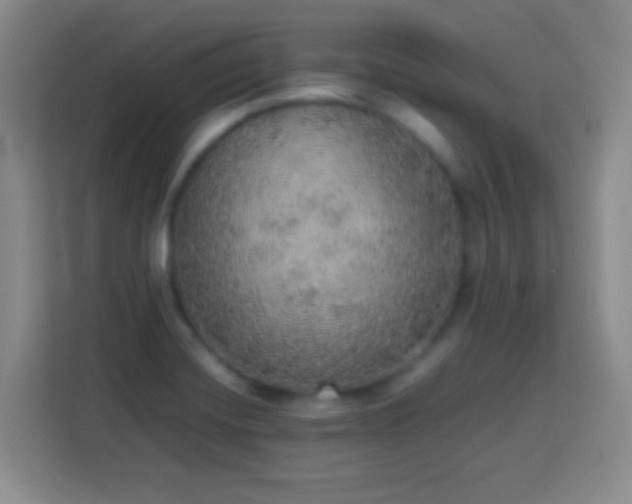 X0000113781420200909301140
