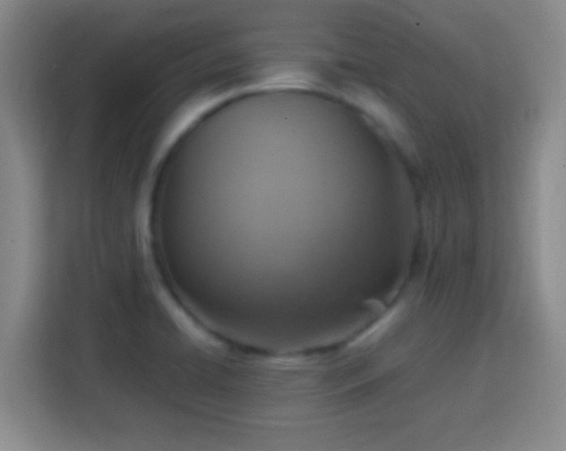 X0000113781422200909301140