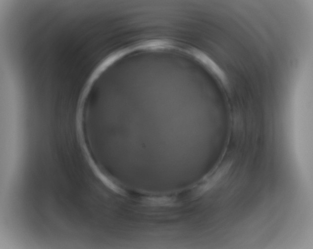 X0000113781429200909301140