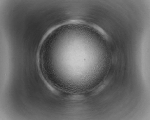 X0000113781430200909301140
