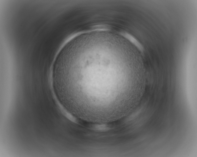 X0000113781431200909301140