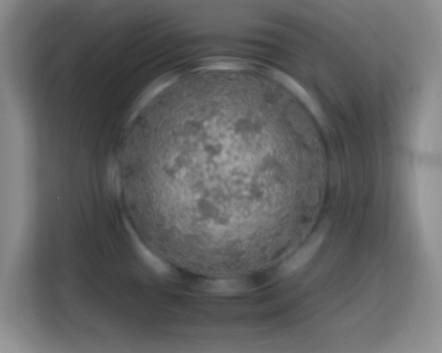 X0000113781433200909301140