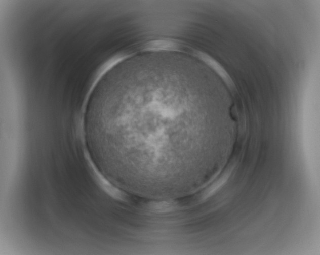 X0000113781434200909301140