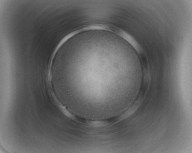 X0000113781436200909301140