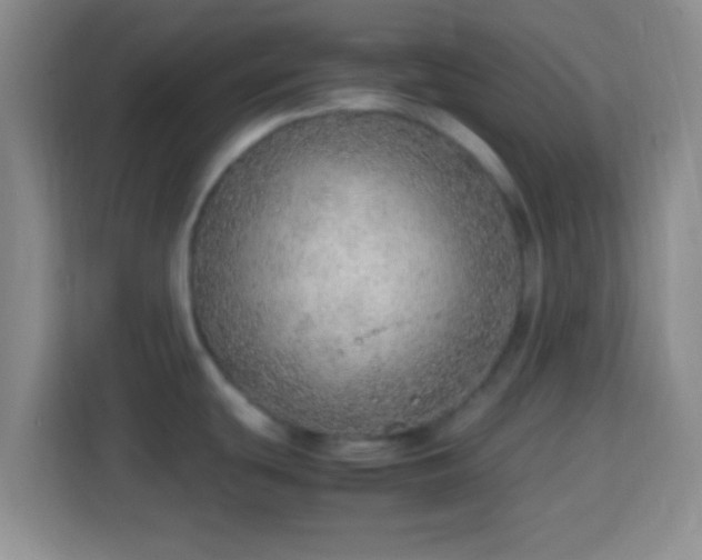 X0000113781439200909301140