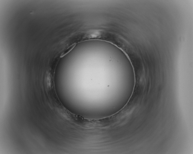 X0000113781442200909301140