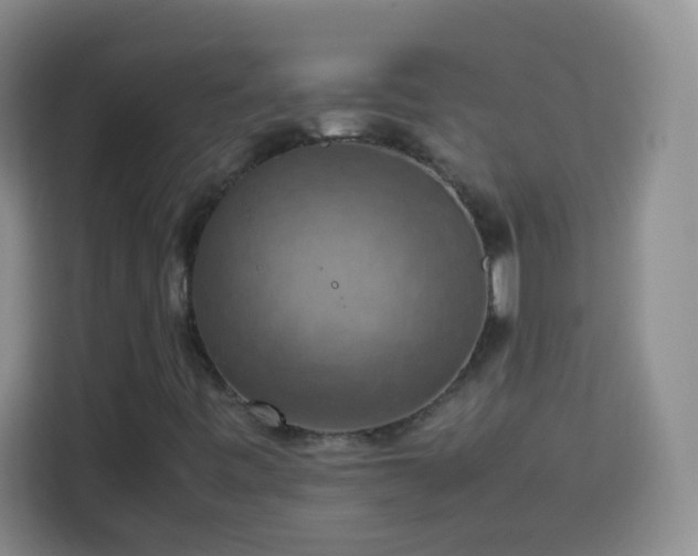 X0000113781443200909301140