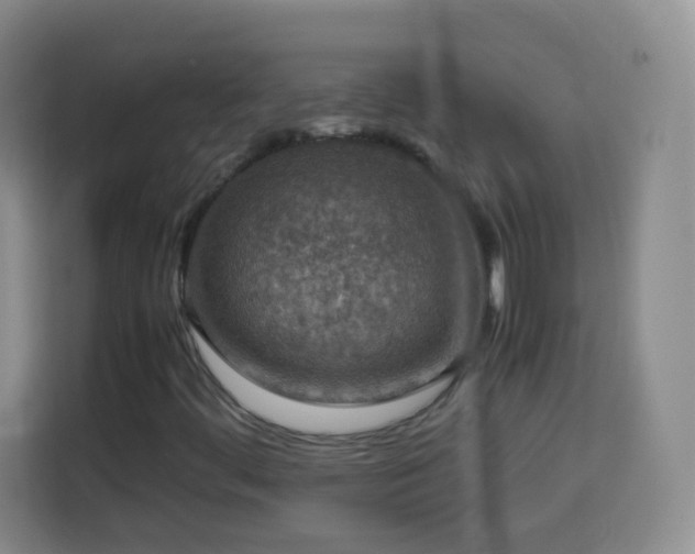 X0000113781444200909301140