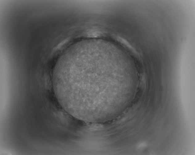 X0000113781446200909301140