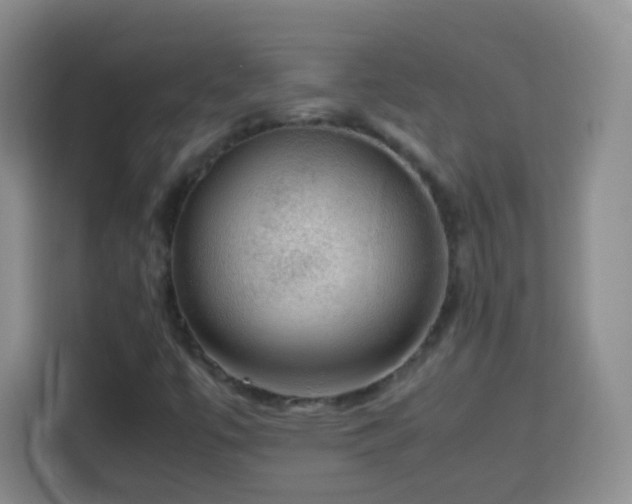 X0000113781447200909301140