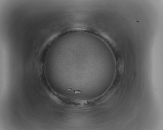 X0000113781448200909301140