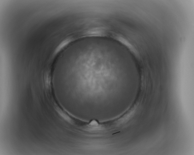 X0000113781450200909301140