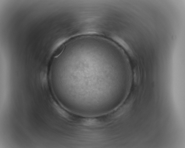 X0000113781452200909301140