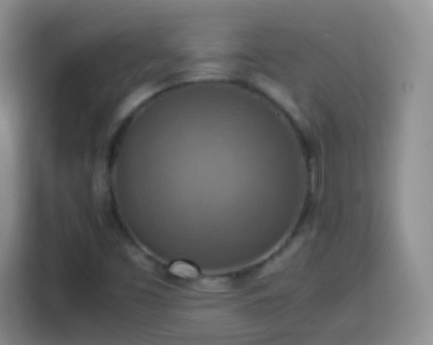 X0000113781453200909301140